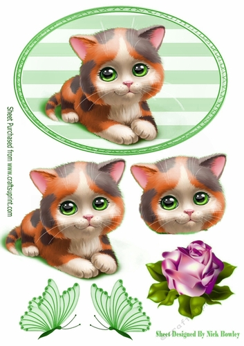 Cute tortoiseshell kitten with rose and butterflies in green striped frame