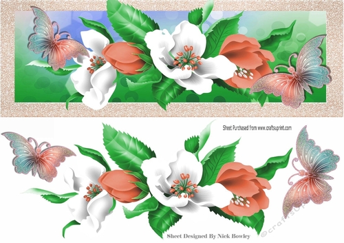 Pretty peach and white spring flowers with butterflies DL