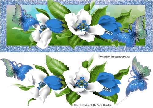 Pretty blue and white spring flowers with butterflies DL
