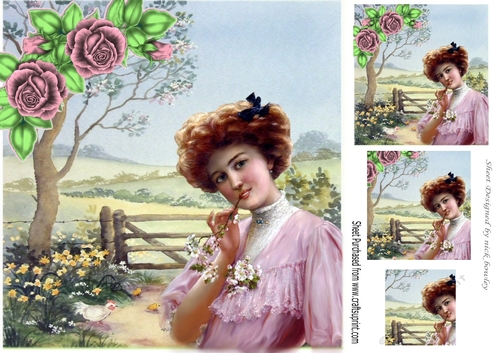 Pretty vintage lady in the meadows with pink roses 8x8