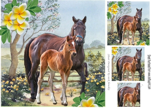 Mum with her foal in the meadows with yellow flowers 8x8