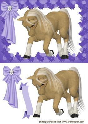 Such Grace ! Cute Horse