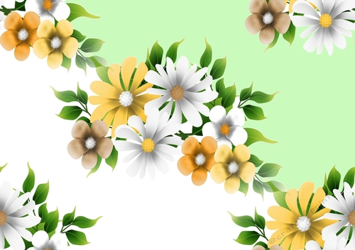 peach/white flowers backing paper (LARGE GREEN/WHITE)