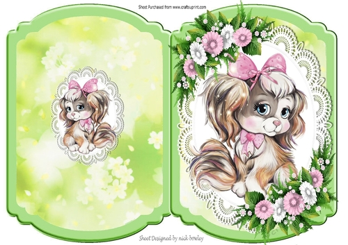 Cute little puppy with pink flowers on lace bracket card 