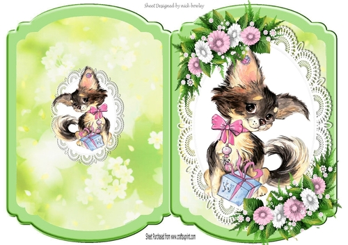 Cute little kitten with present, pink flowers on lace bracket card
