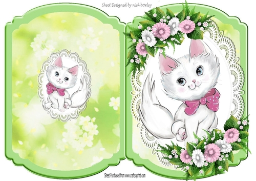 Cute little white kitty with pink flowers on lace bracket card