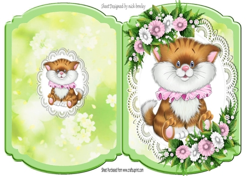 Cute little ginger kitten with present, pink flowers on lace bracket card