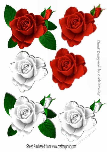 Roses cut outs with decoupage ( set 7)