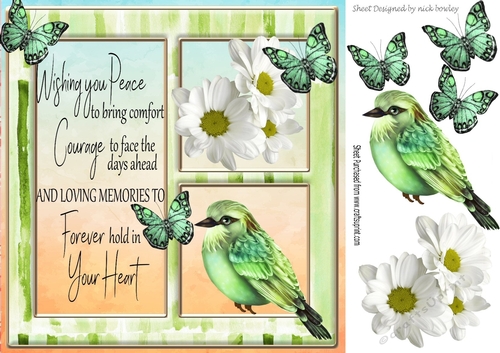 White daisies, and little green bird with sympathy verse card front 8x8
