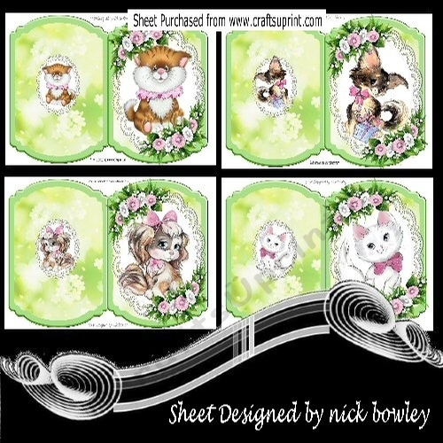 4 Cute kitties/puppies on lace with flowers bracket cards mini kits