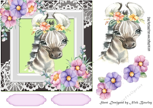 Cute zebra in watercolour with flowers/lace 7x7