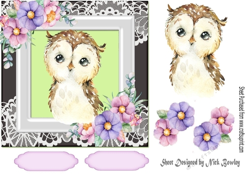 Cute owl in watercolour with flowers/lace 7x7
