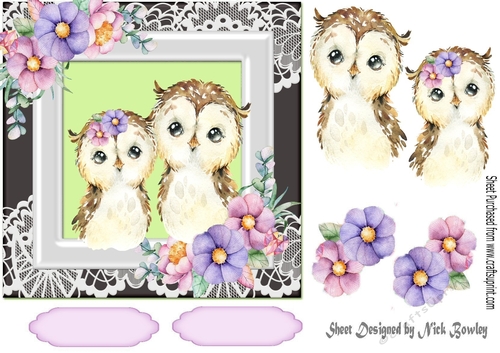 cute owls together watercolour with flowers/lace 7x7