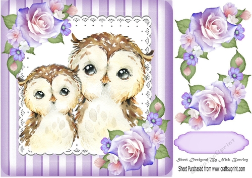 Pretty pair of cute owls with corner roses in striped purple 8x8 frame