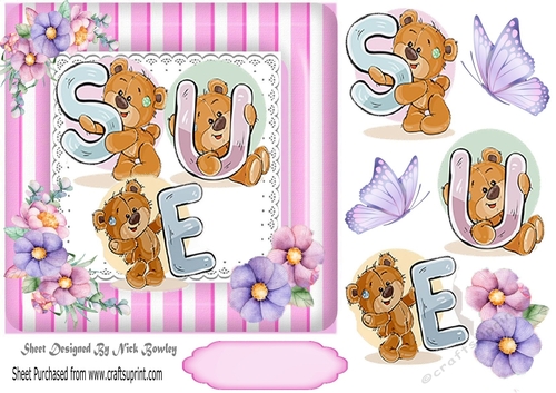 Lovely Teddies name SUE In stripe pink 7x7 frame with flowers