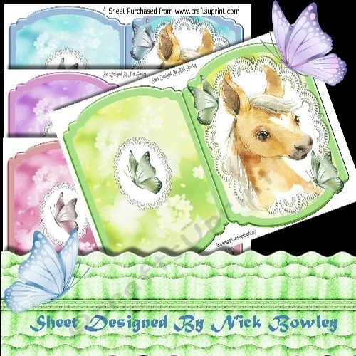 4 Lovely water colour hoses on lace with butterflies brack cards mini kit