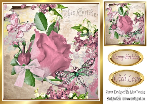 Pretty blush rose with script, dragonfly, butterfly & bow 8x8