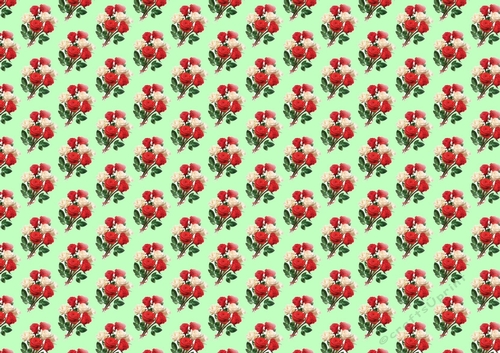 pretty red roses (small green backing paper)