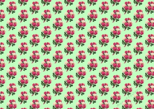 pretty pink roses (small green backing paper)