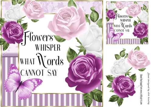 Pretty cerise/pink roses in striped frame with script 8x8