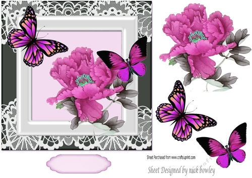 Pretty pink exotic flower with pretty butterflies in ornate frame 7x7