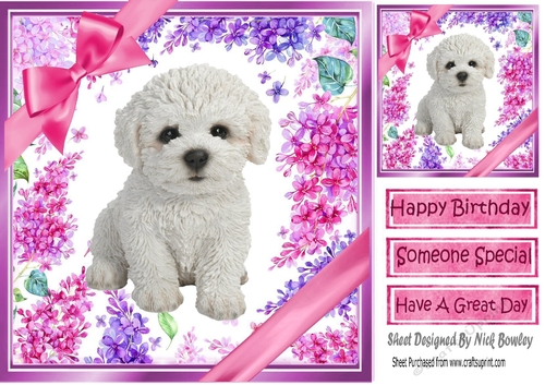 Gorgeous little puppy (two) with bows  and flowers 8x8