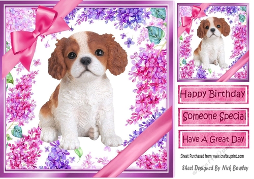 Gorgeous little puppy (four) with bows  and flowers 8x8