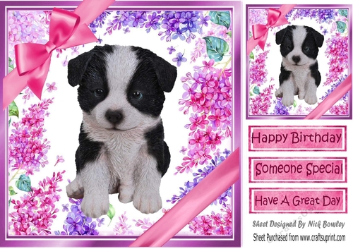 Gorgeous little puppy (six) with bows  and flowers 8x8