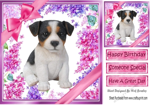 Gorgeous little puppy (seven) with bows  and flowers 8x8