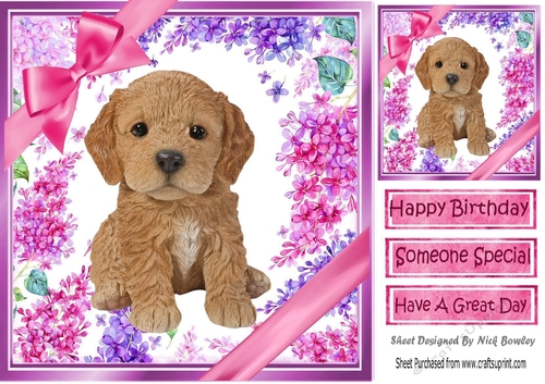 Gorgeous little puppy (eight) with bows  and flowers 8x8