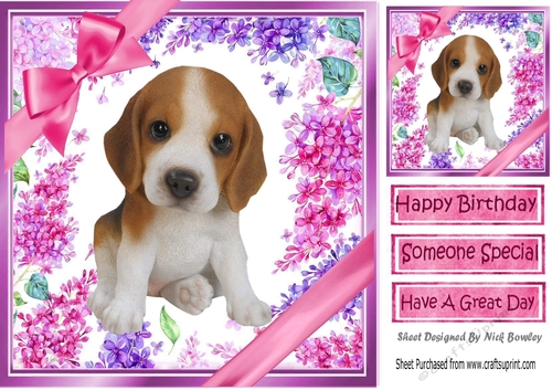 Gorgeous little beagle puppy with bows  and flowers 8x8
