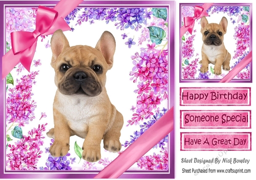 Gorgeous little  french bulldog puppy with bows  and flowers 8x8