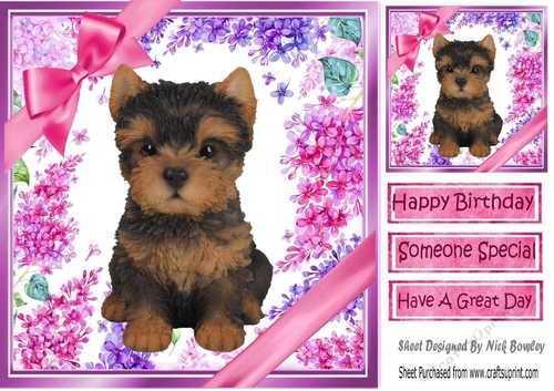 Gorgeous little yorki  puppy with bows  and flowers 8x8