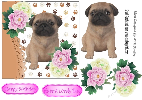 Cute pug puppy, with pink/white peonies 7x7