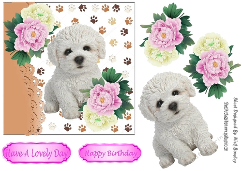 cute bichon puppy with pink/white peonies 7x7