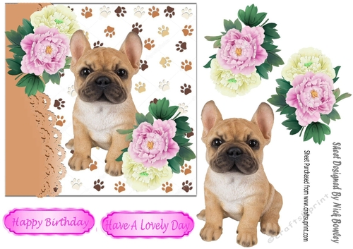 Cute french bulldog puppy with pink/white peonies 7x7