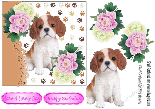 cute cavalier puppy with pink/white peonies 7x7