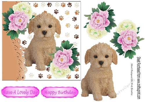 cute labradoodle puppy with pink/white peonies 7x7