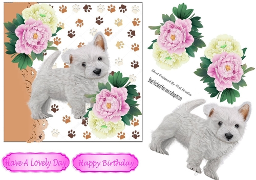 cute westie puppy with pink/white peonies 7x7