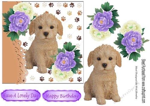 cute labradoodle puppy with purple/white peonies 7x7
