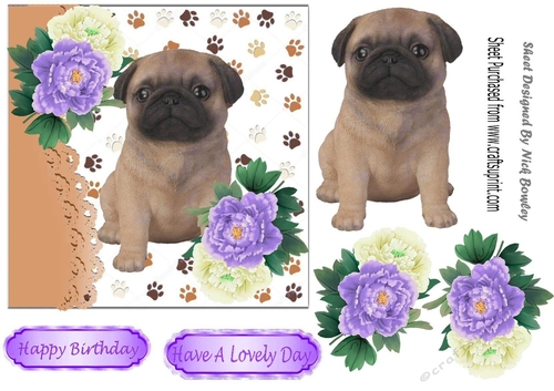 cute pug puppy with purple/white peonies 7x7