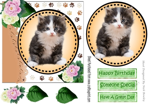 Sweet little kitten with pink/white peonies card front 7x7 with topper 