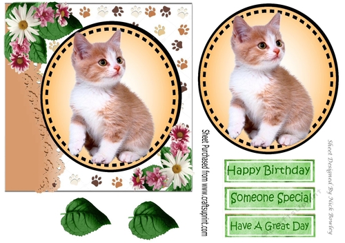 Sweet little kitten with daisies card front 7x7 with topper