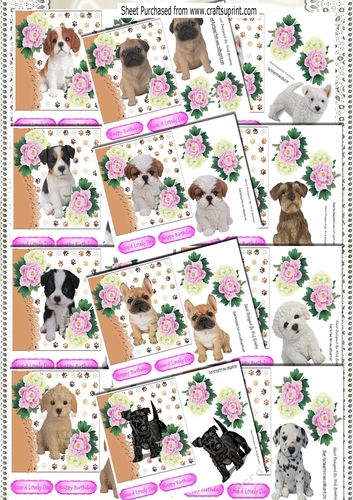 A Lovely Variety of 12 cute puppies with pink/white peonies 7x7 card fronts Bumper Kit