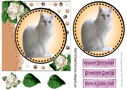 Sweet white kitten with white roses card front 7x7 with topper