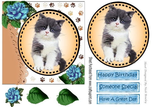 Sweet little black and white kitten with blue roses card front 7x7 with topper