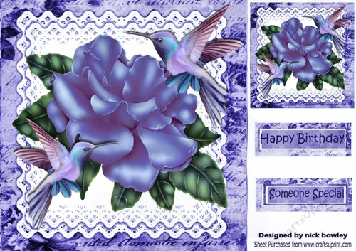 Pretty purple rose on lace with humming birds 8x8