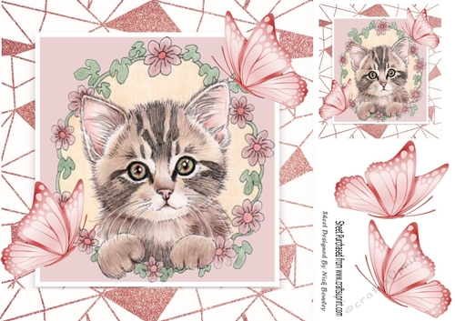 Sweet Kitten in frame of Abstract , flowers and butterflies 8x8