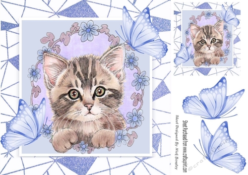 Sweet Kitten in frame of Abstract , flowers and blue butterflies 8x8