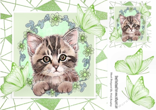 Sweet Kitten in frame of Abstract , flowers and green butterflies 8x8